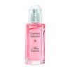 gabriela-sabatini-miss-gabriela-perfume-feminino-eau-de-toilette